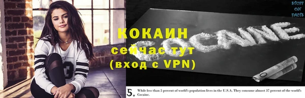 ГАЛЛЮЦИНОГЕННЫЕ ГРИБЫ Богородицк