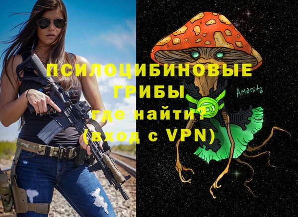 ГАЛЛЮЦИНОГЕННЫЕ ГРИБЫ Богородицк