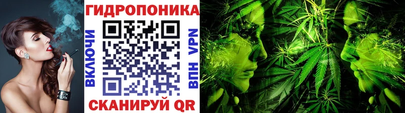 магазин  наркотиков  Полесск  Бошки марихуана индика 
